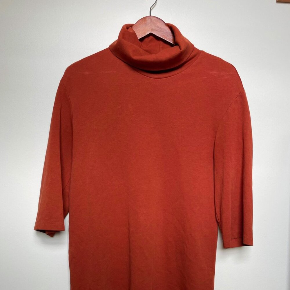 Zara - Turtle Neck Dress L